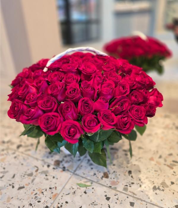 ������������ ����� �� 101 ������� ���� �� ������������