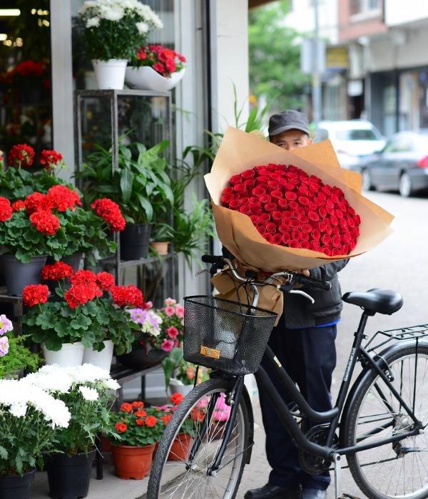 ����� � �������� ������ �� ������������