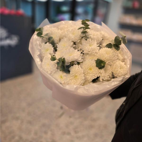 ������������ ������ �� ������������