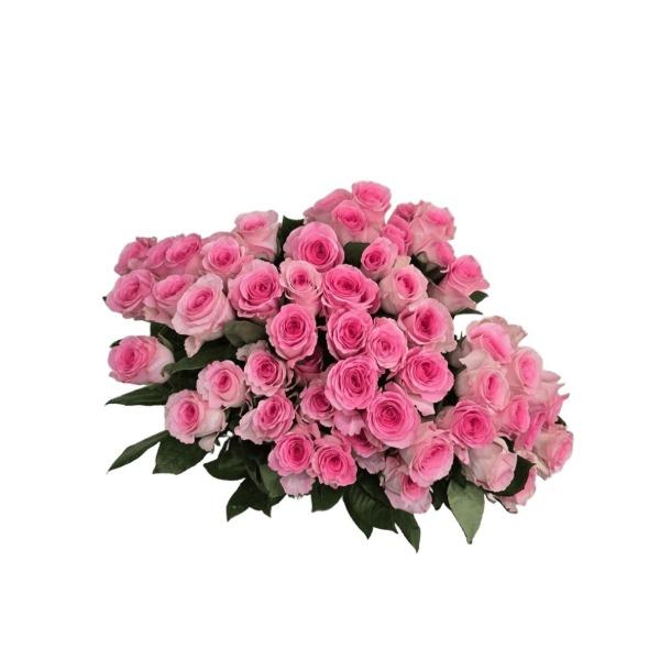 ������������ ��������� ������ �� ������������