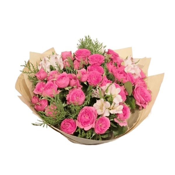 ��������� ���������� �� ������������