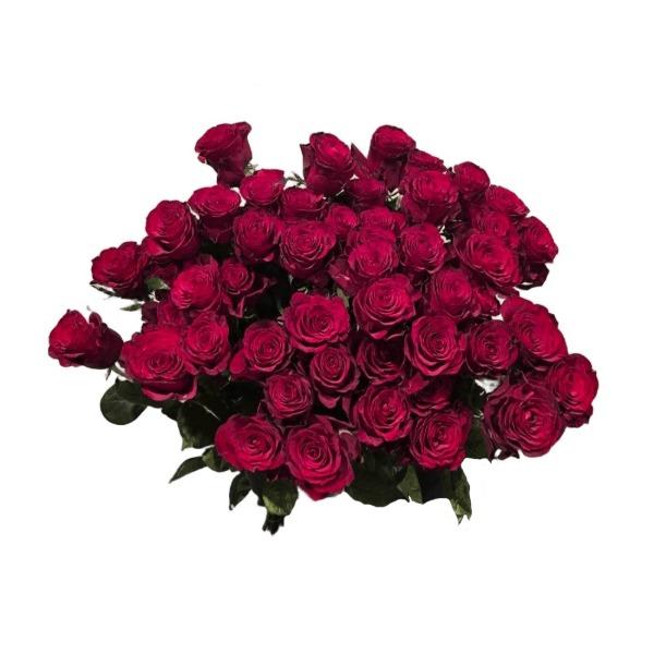 ������������ ������ �� ������������